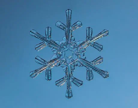 Snowflake on smooth gradient background. Macro photo of real snow crystal on Stock Photos
