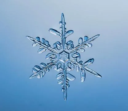 Snowflake on smooth gradient background. Macro photo of real snow crystal on Stock Photos