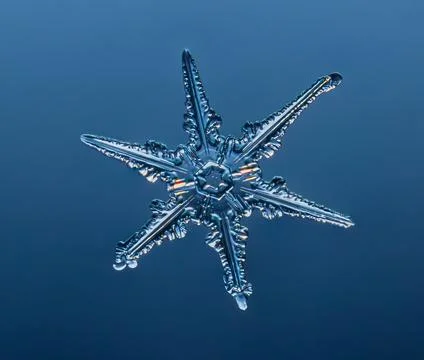 Snowflake on smooth gradient background. Macro photo of real snow crystal on 스톡 사진