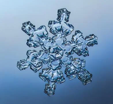 Snowflake on smooth gradient background. Macro photo of real snow crystal on Stock Photos