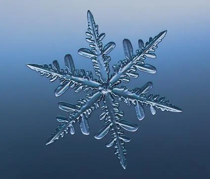 Snowflake on smooth gradient background. Macro photo of real snow crystal on 스톡 사진