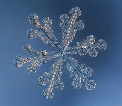 Snowflake on smooth gradient background. Macro photo of real snow crystal on 스톡 사진