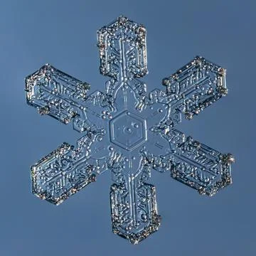 Snowflake on smooth gradient background. Macro photo of real snow crystal on Stock Photos