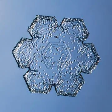 Snowflake on smooth gradient background. Macro photo of real snow crystal on Stock Photos