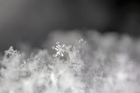 Snowflake on snow a macro as background Stock-Fotos