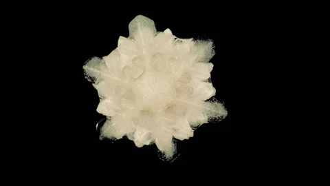 The snowflake thaws 動画素材 117337623