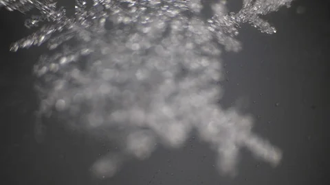Snowflake under the microscope melts Stock Footage 105661783