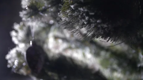 Snowflake under the microscope melts Stock Footage 105664487