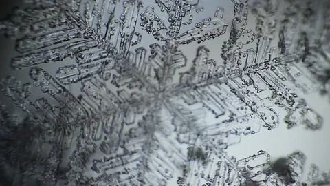 Snowflake under a microscope with rolling sharpness and blur Stock Footage 105738506