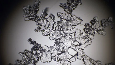 Snowflake under a microscope shifting sharpness with blur Stock Footage 105744409