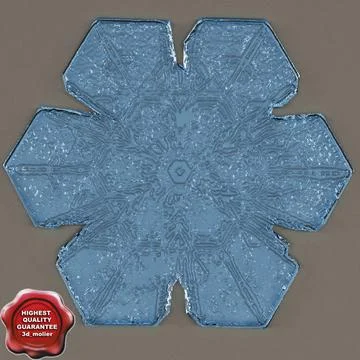 Snowflake V3 3D Model