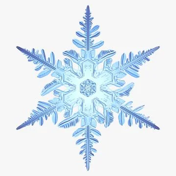 Snowflake v8 3D Model