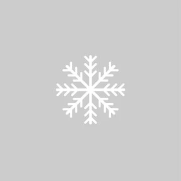 Snowflake vector icon. Snow pictogram. Winter symbol Stock Illustration