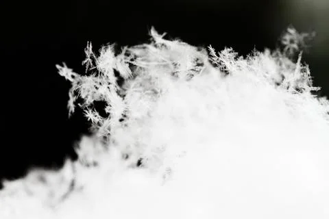 Snowflake in white snow Stock Photos