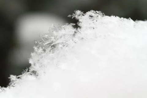 Snowflake in white snow Stock Photos
