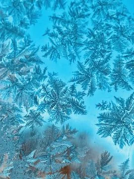 Snowflake on windshield Stock Photos