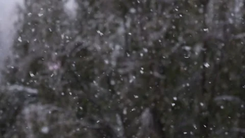 Snowflakes In The Air Stock-Footage 293102626