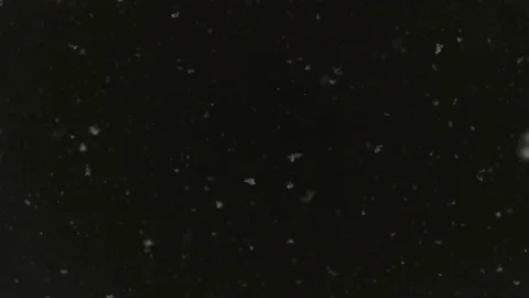 Snowflakes are dancing against black night sky background. Видео 71006525