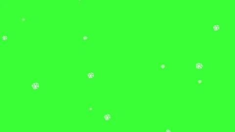 Snowflakes are falling down on a green screen. Stock Footage 159049398