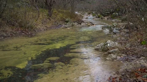 Snowflakes are falling Stock Footage 149062830