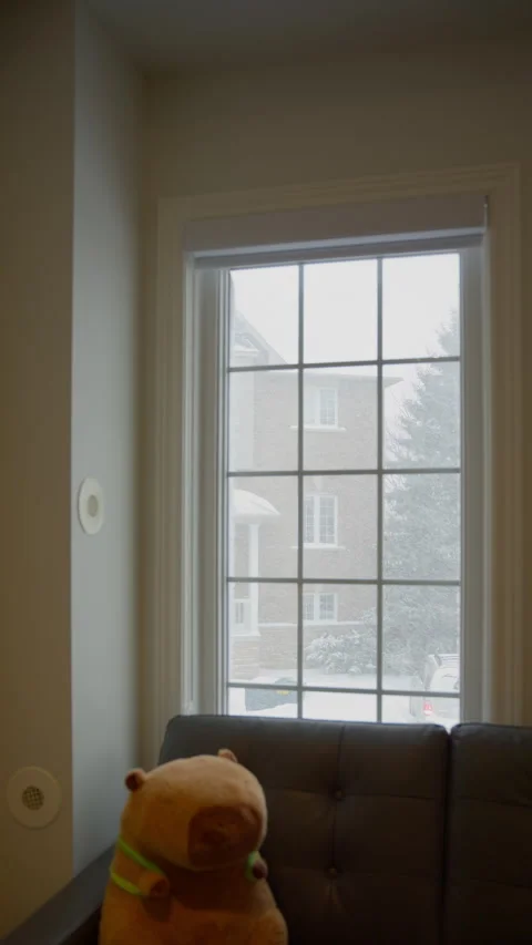 Snowflakes are falling outside the window (vertical video) Stock Footage 329072685