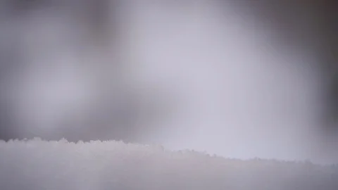 Snowflakes are falling in the snow. Stock Footage 100239034