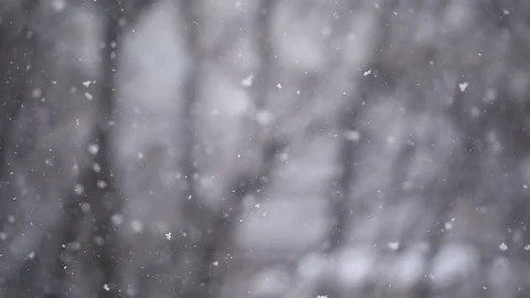 Snowflakes are seen falling during a heavy snowfall 스톡 동영상 71277878