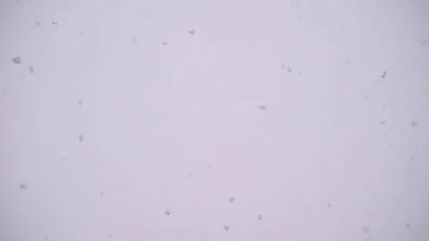 Snowflakes are seen falling during a heavy snowfall Vídeo Stock 71277892
