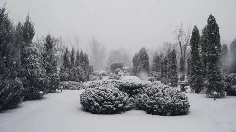 Snowflakes are slowly falling Stock Footage 151747104