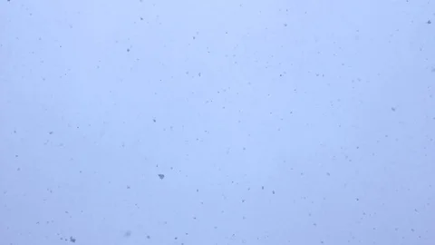 Snowflakes background. Falling snow flakes. Grey Sky. 스톡 동영상 126841842