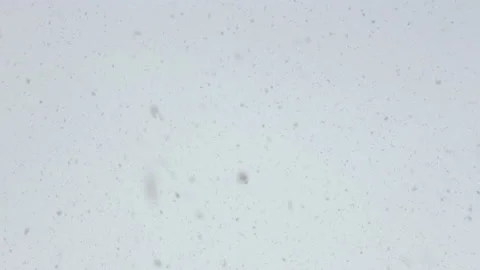 Snowflakes background. Heavy Falling snow on white sky background close up Stock Footage 154913062