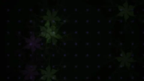 Snowflakes on black background falling slow. Stock Footage 340041422