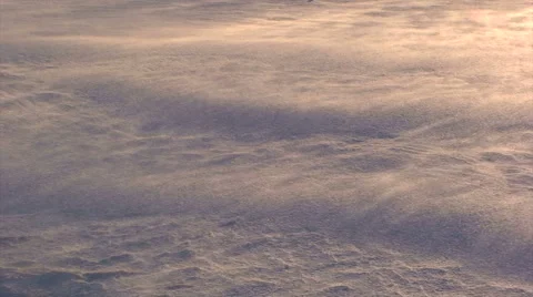 Snowflakes blown by wind at sunset Stock Footage 52089532