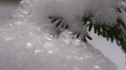 Snowflakes on the Christmas tree Stockbeeldmateriaal 45739323