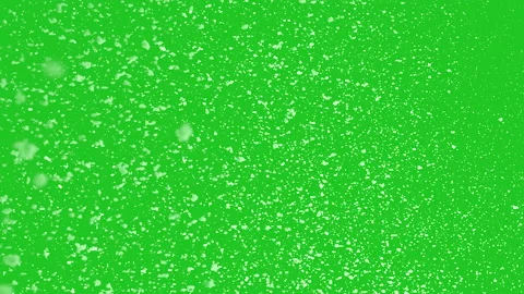 Snowflakes on Chroma Key background. Snow falling down slowly. 4K animation Video stock 166010200