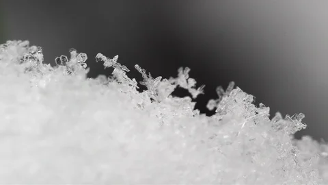Snowflakes close-up during a snowfall Stock Footage 99536333