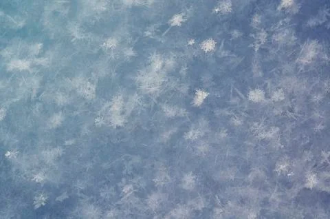 Snowflakes close-up. soft focus macro photo. crystal clear ice. winter. shallow Stock Photos