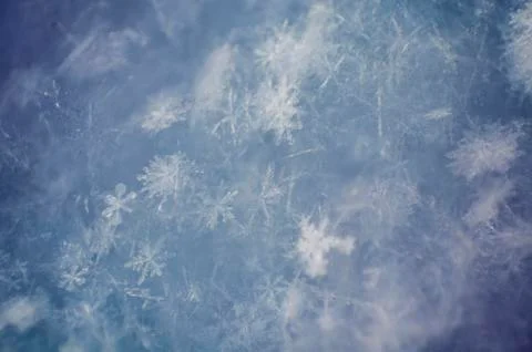 Snowflakes close-up. soft focus macro photo. crystal clear ice. winter. shallow Stock Photos