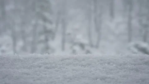 Snowflakes closeup Stock Footage 168554163