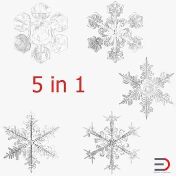 Snowflakes Collection 3D Model