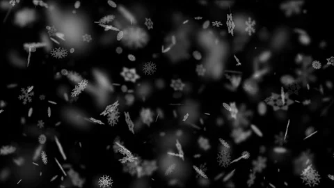 Snowflakes of Different Form Slowly Fall Down 動画素材 83816593