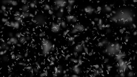 Snowflakes of Different Forms Tightly Strew Down 動画素材 83821894