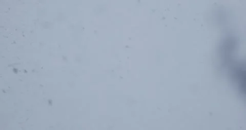 Snowflakes drift gracefully towards the camera, each unique crystal captured in Stock Footage 253285365
