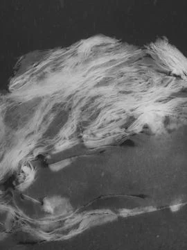 Snowflakes drifting softly over translucent ice surface, generating delicate 스톡 사진