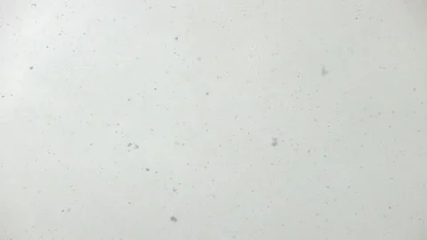 Snowflakes drifting in the wind Stock Footage 149261761