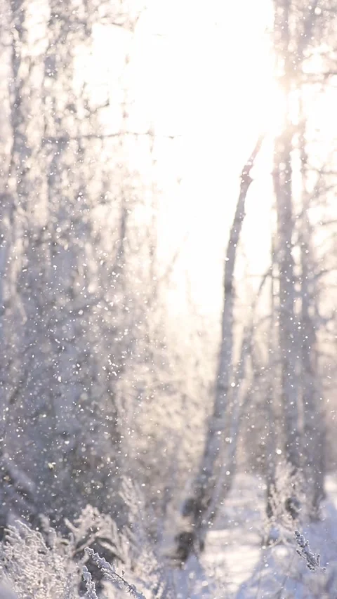 Snowflakes fall and sparkle Stock Footage 168465770