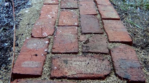 Snowflakes fall on a brick path Stock Footage 74384857
