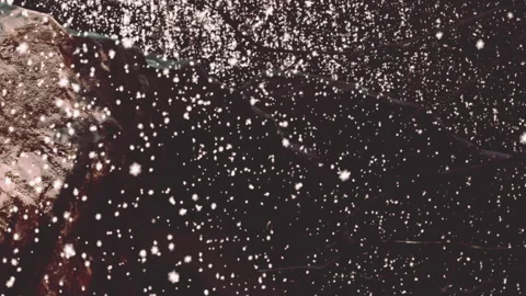Snowflakes fall gently on a dark forest path in winter Stock Footage 342809143