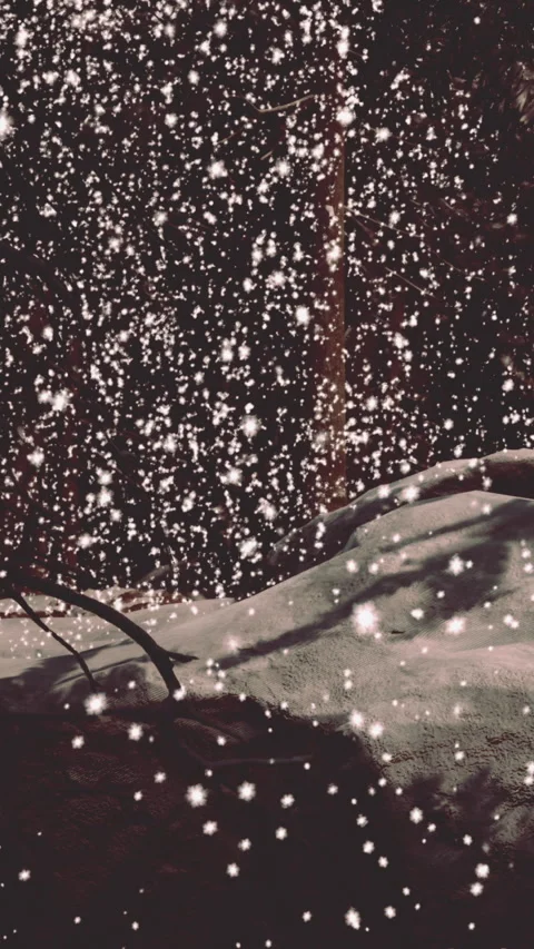 Snowflakes fall gently on the ground in a winter forest scene Stock Footage 337969457