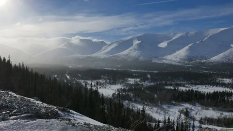 Snowflakes fall on green trees and mountainous landscape Video stock 108544285